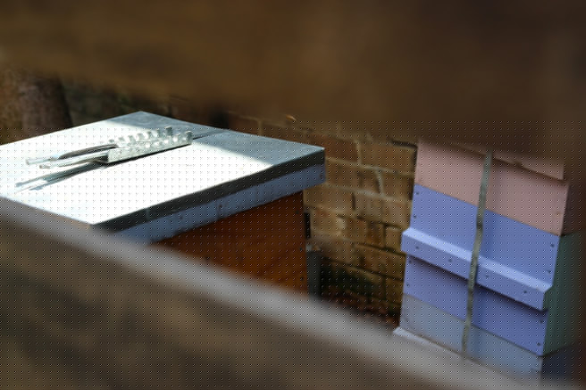 beekeeping07